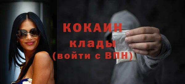 тгк Новозыбков