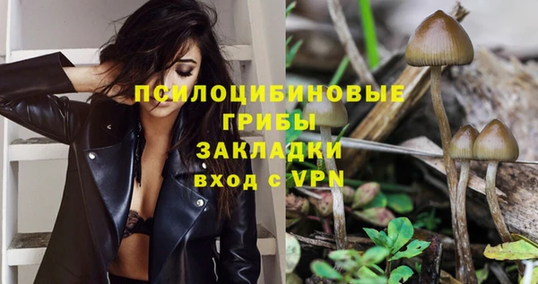 гидра Нефтекумск
