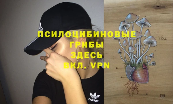 гидра Нефтекумск