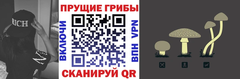 Псилоцибиновые грибы MAGIC MUSHROOMS Азнакаево