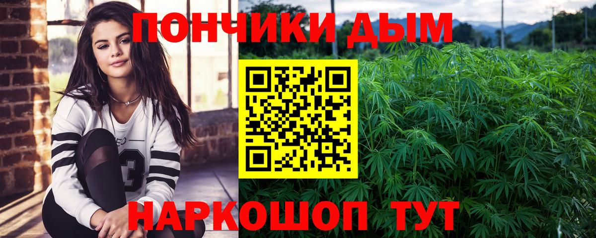 Каннабис сатива  Канабис конопля  МАРИХУАНА марихуана  Канабис Bruce Banner  Азнакаево 